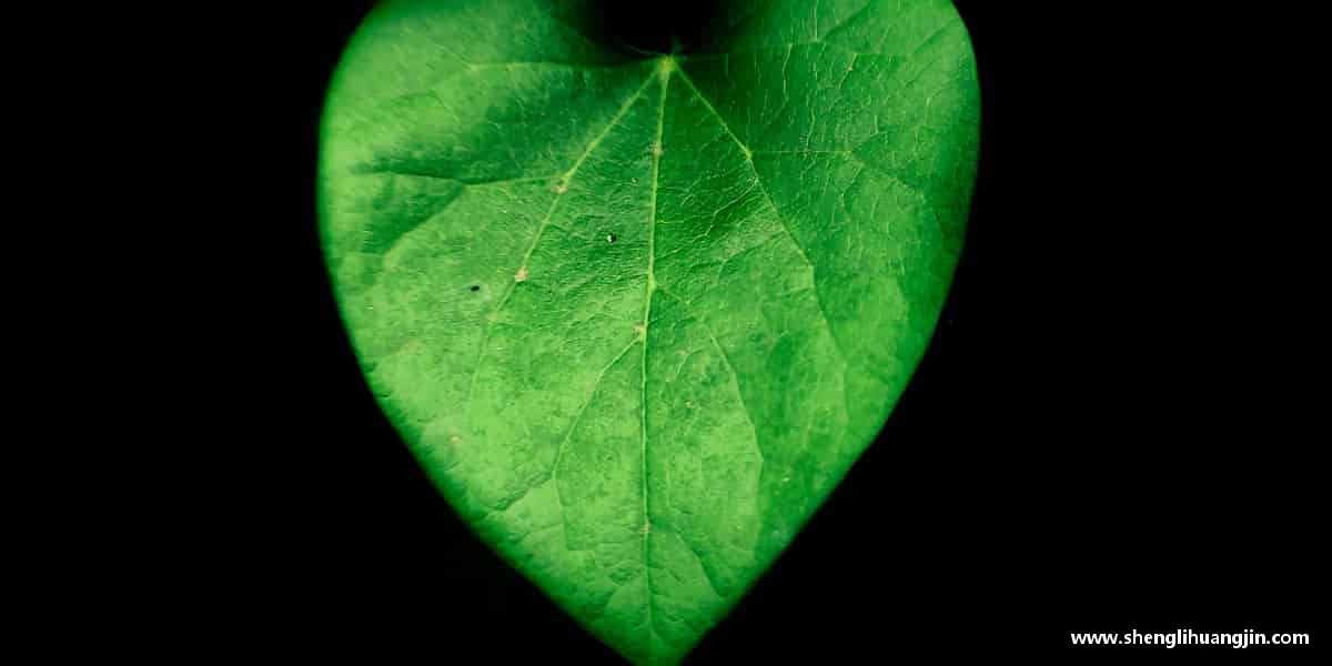 必一·运动(B-Sports)青春无畏，奋斗不止。